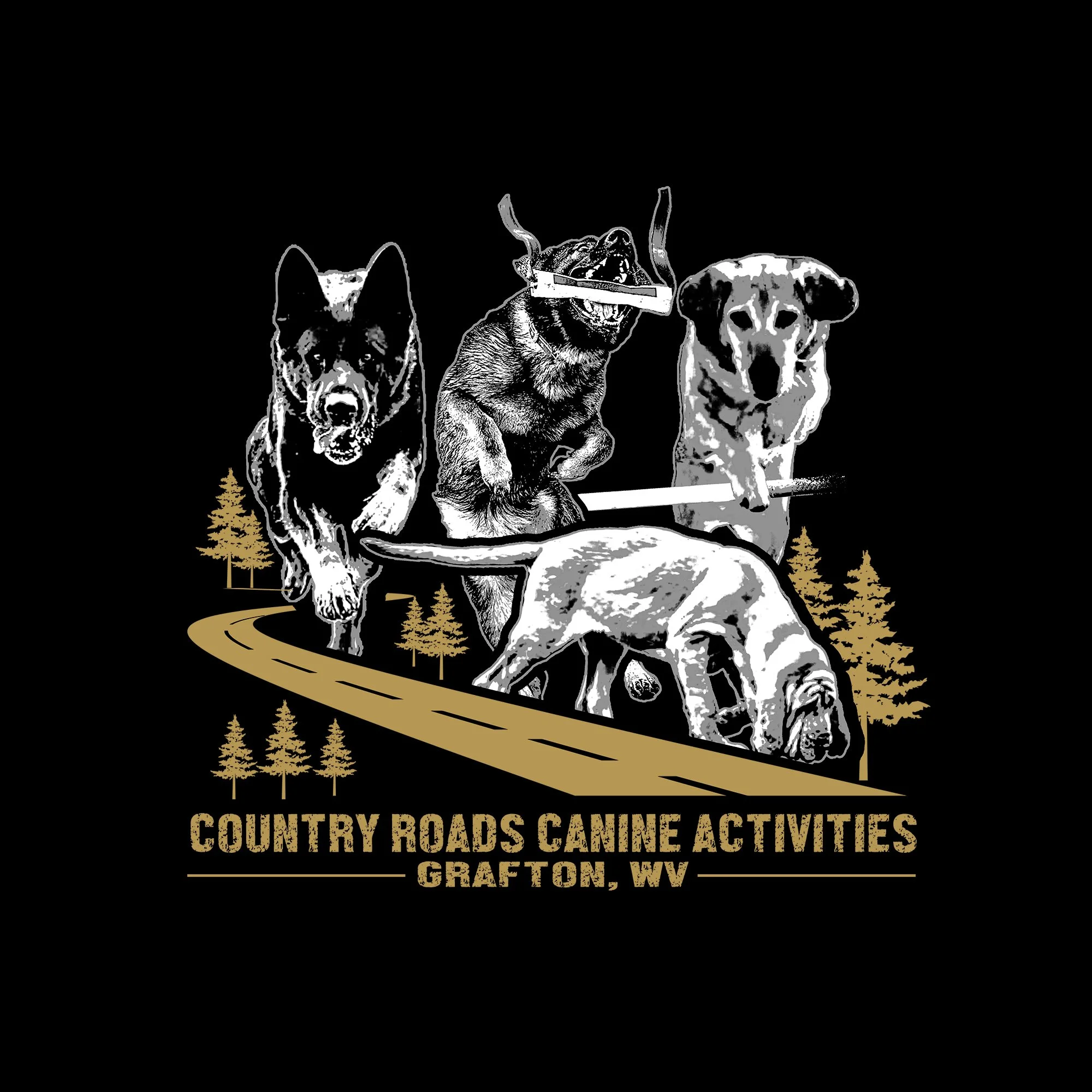 Country Roads Canine Activities IDS June Event