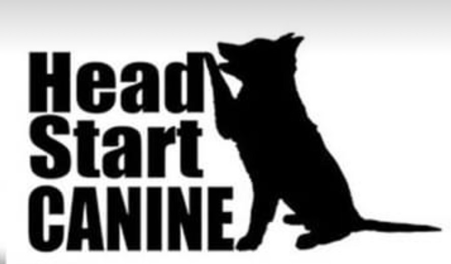 Head Start Canine IDS Mother's Day Match Up